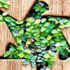 Recycling von Biokunststoff Recycling von Biokunststoff