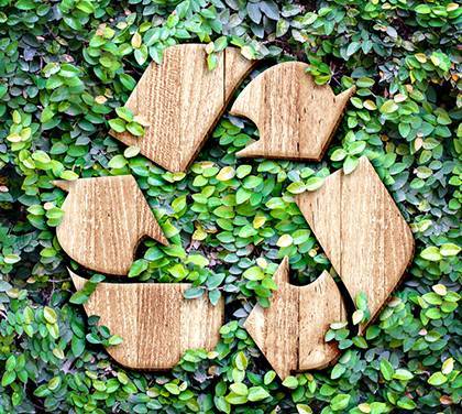 Recycling von Biokunststoff