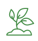 plant icon