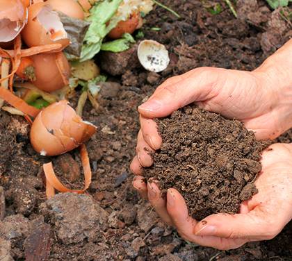 Decomposition of natural plastic