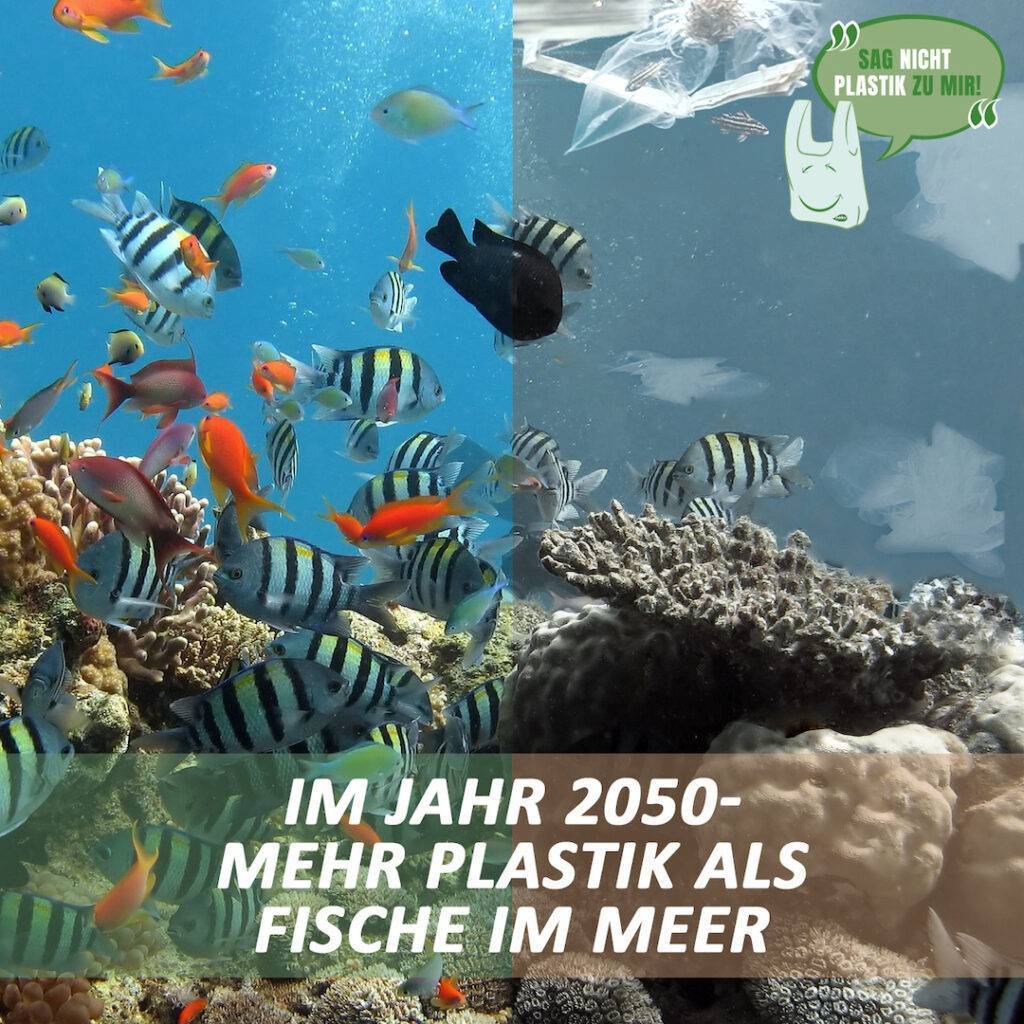 Infos zu Plastik im Meer | NaKu - Aus Natürlichem Kunststoff Plastik im Meer