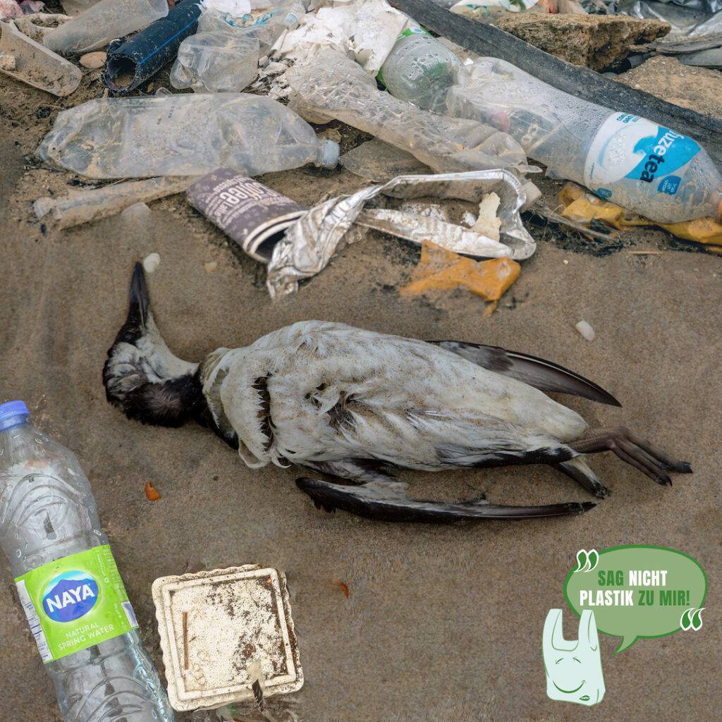 Plastic waste pollutes beaches