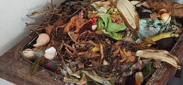 Organic waste in a bio bin