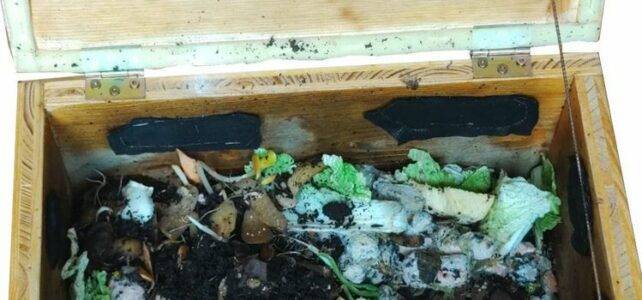 Compost for the home - the worm box