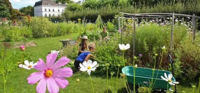 Erlebnisgarten City Farm Augarten - Credit: Gerhard Deutsch