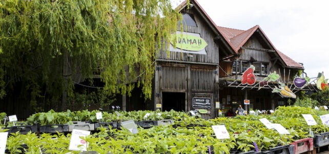 ADAMAH Organic Plant Market (c) Sandra Tauscher