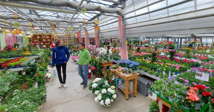 Gärtnerei Ganger - flower lovers will definitely find something here in the plant market