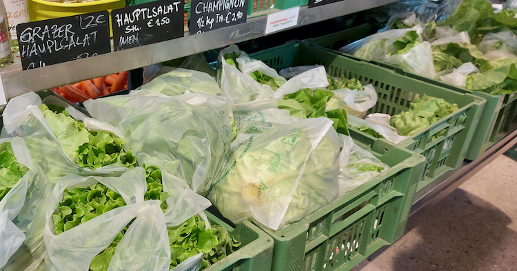 Gärtnerei Ganger -Die frischen Salate werden für eine optimale Bewahrung der Frische in NaKu Biosackerl verpackt
