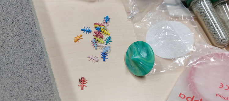 Die NaKu-Ameisen aus Biokunststoff in der Lehrmittelbox