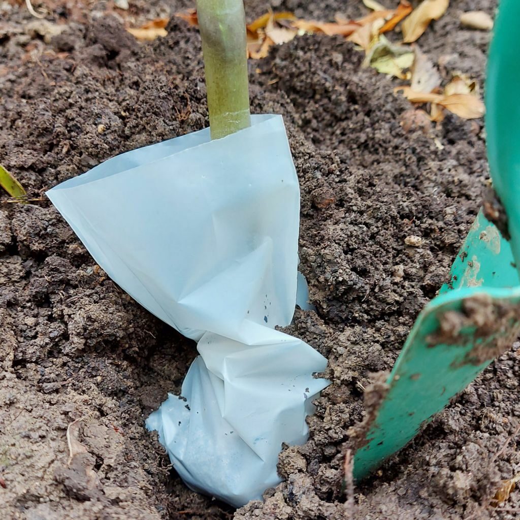 NaKu organic plant bag made of bioplastic. Compostable & recyclable.