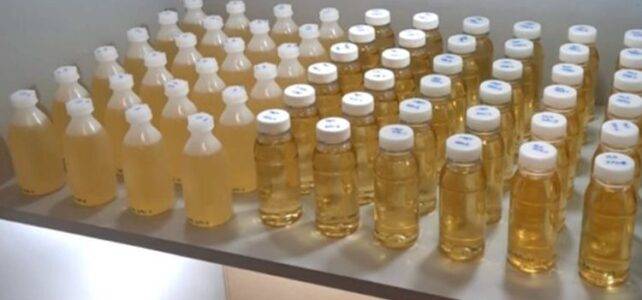 Bottles from the cooking oil study at the University of Vienna.
