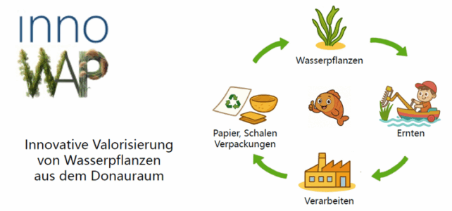 Informationsposter Donauinselfest InnoWAP Projekt