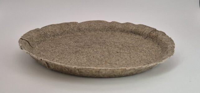 „InnoWAP“: Wie Wasser- und Sumpfpflanzen zu Verpackungen, Textilfasern und Papier werden können