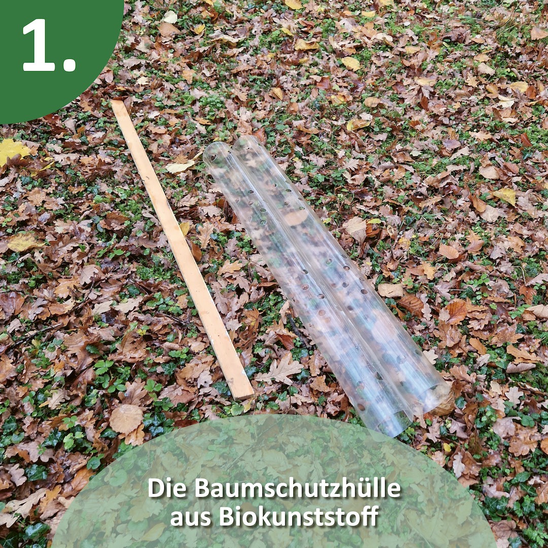 Die biologisch abbaubare Alternative aus Biokunststoff zu herkömmlichen Wuchshüllen.