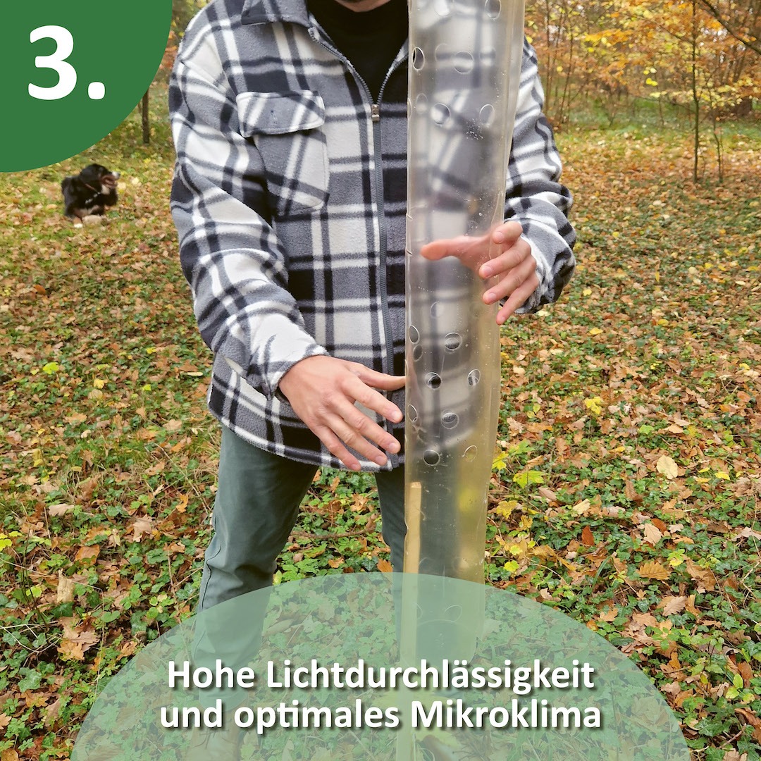 Biologisch abbaubare Baumschutzhülle aus Biokunststoff mit Löchern für optimales Mikroklima