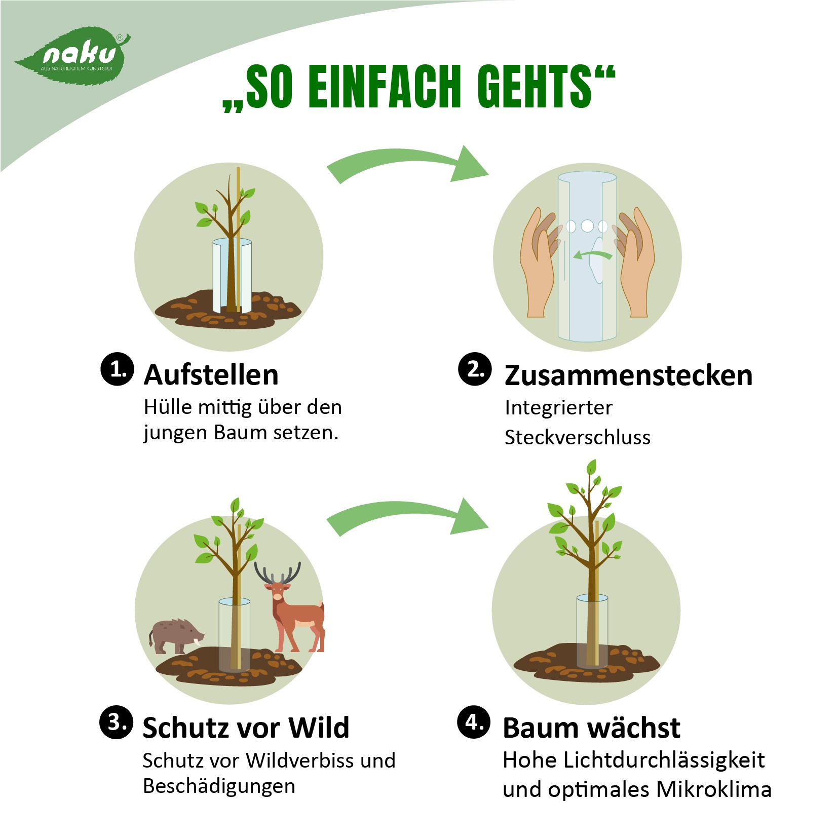 Infografik: Die Funktionen der Bio-Baumschutzhülle
