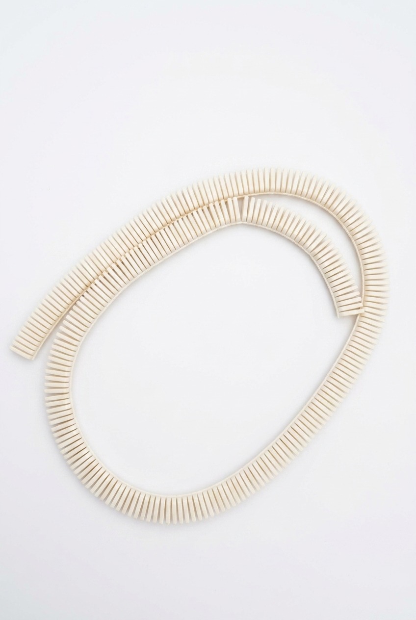 change the background to white Cream-colored, segmented loop formed by evenly spaced rectangular pieces, lying in an oval on a white background.
